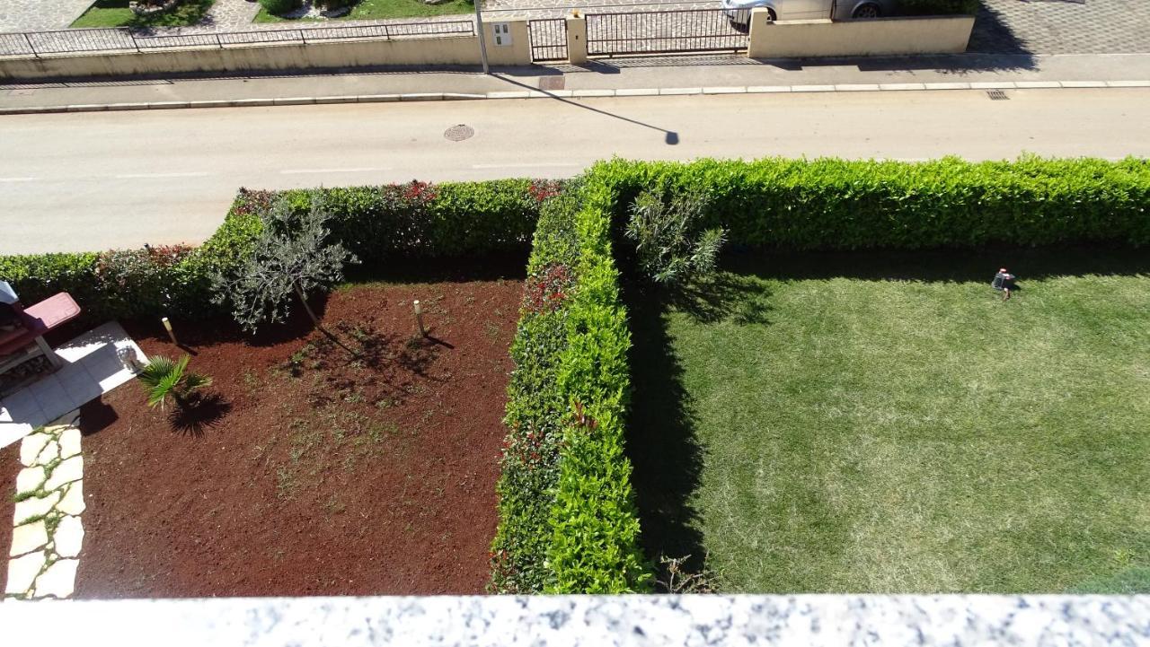 Apartment Bellavista Novigrad  Bagian luar foto