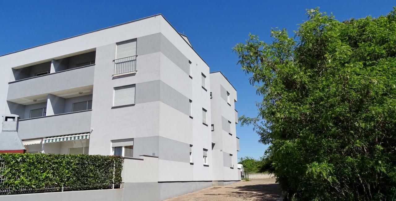 Apartment Bellavista Novigrad  Bagian luar foto