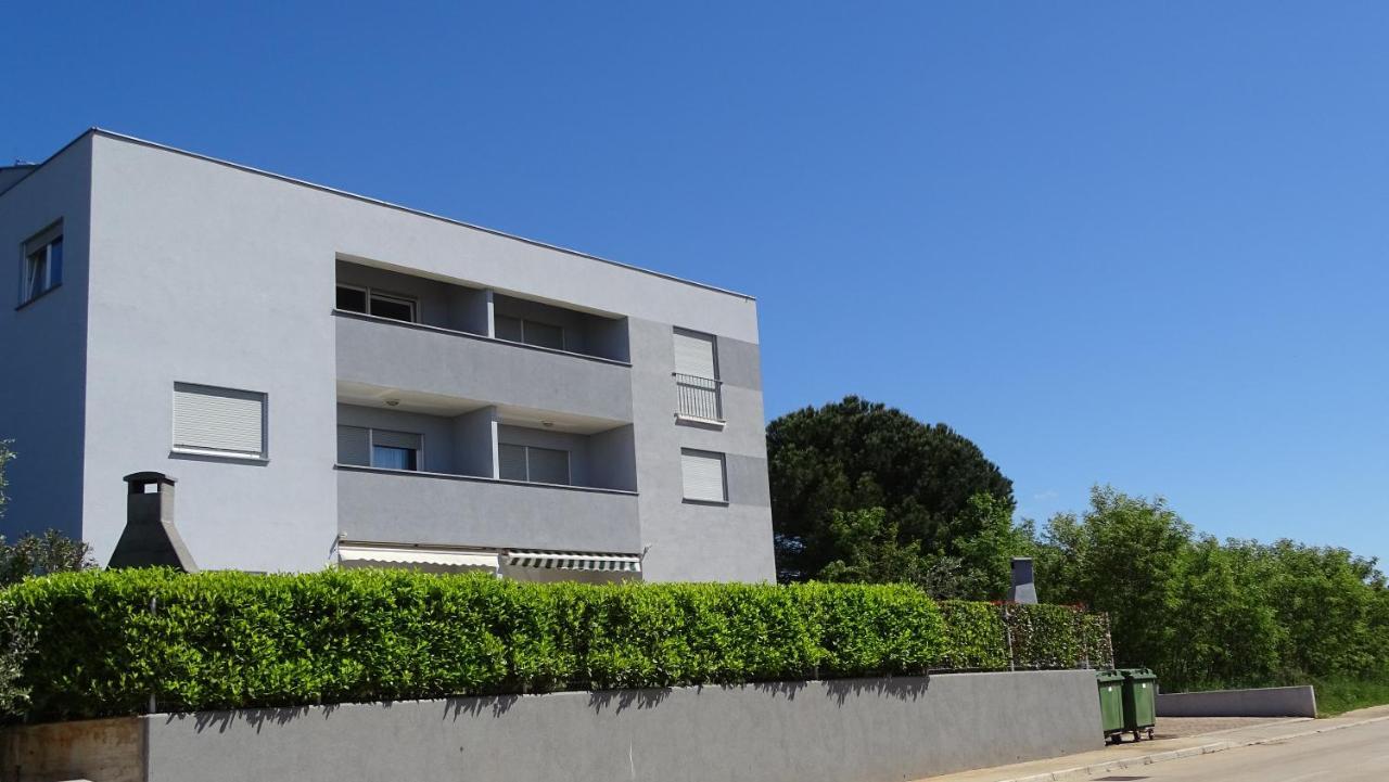 Apartment Bellavista Novigrad  Bagian luar foto