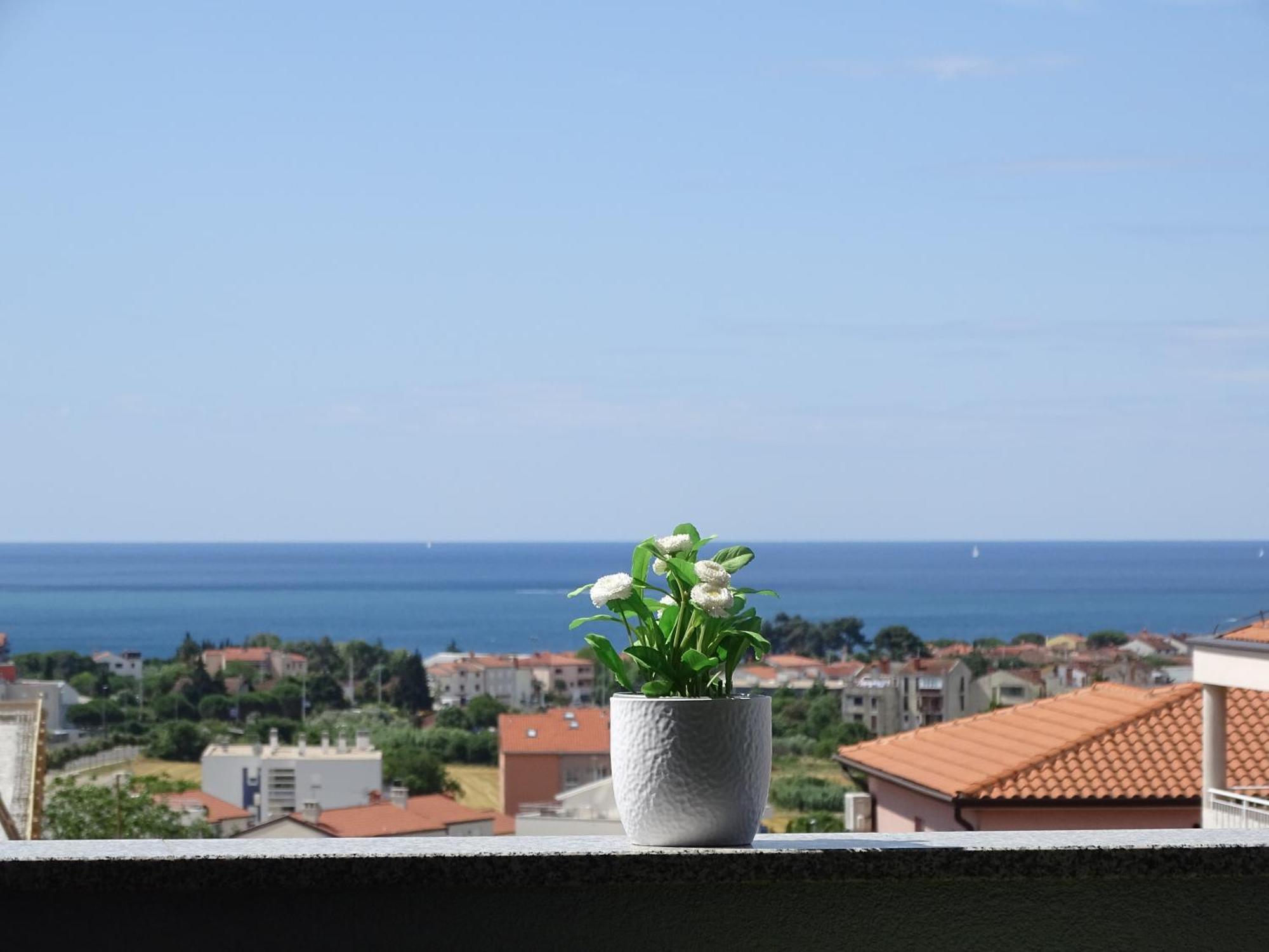 Apartment Bellavista Novigrad  Bagian luar foto