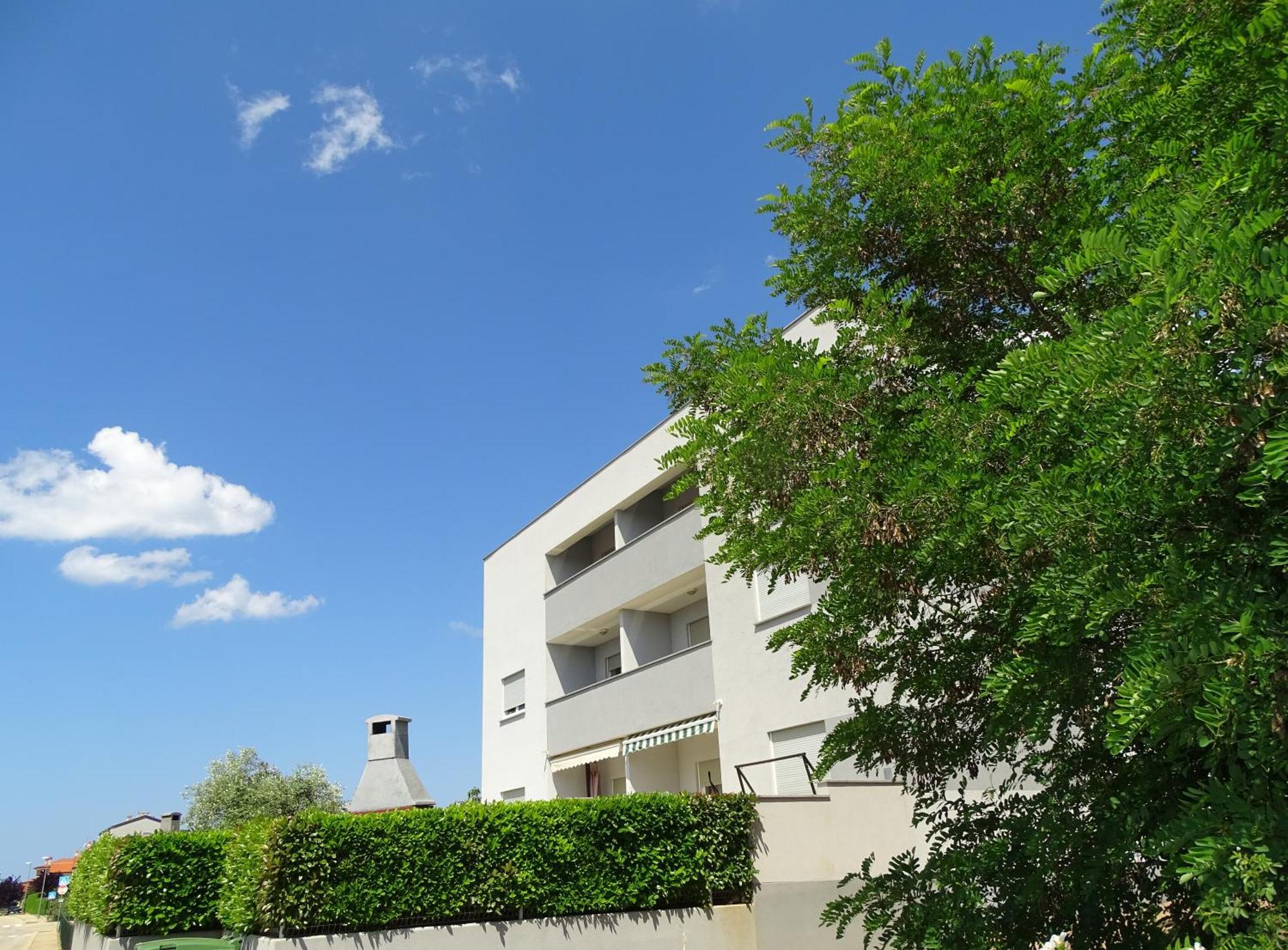 Apartment Bellavista Novigrad  Bagian luar foto