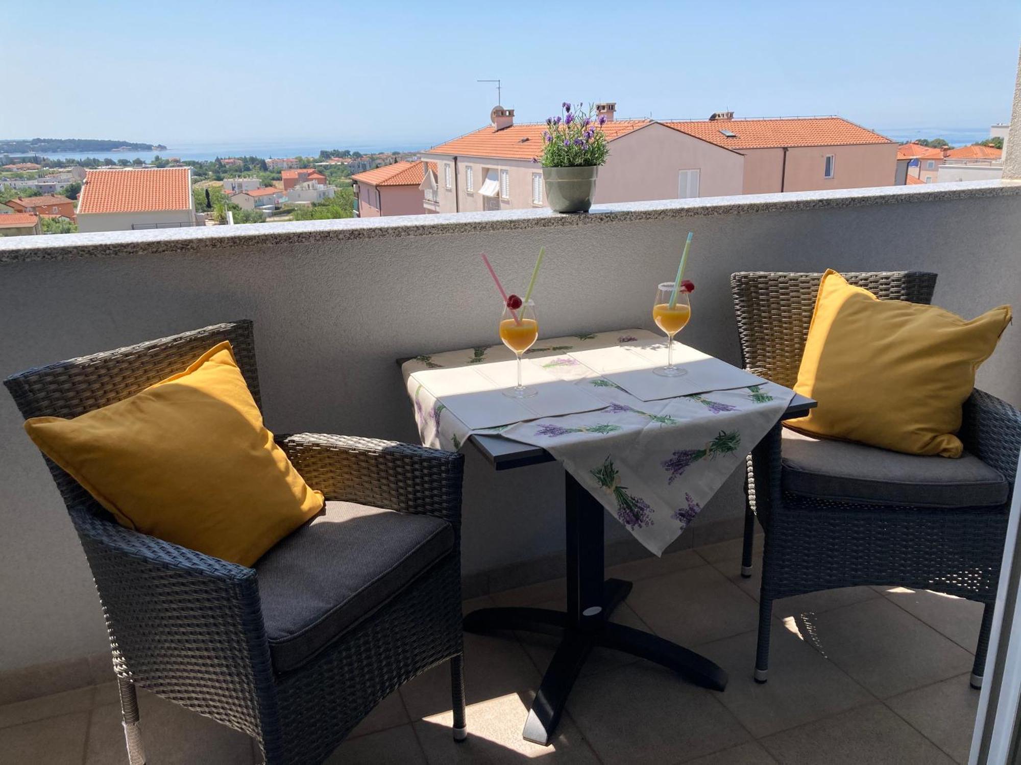 Apartment Bellavista Novigrad  Bagian luar foto